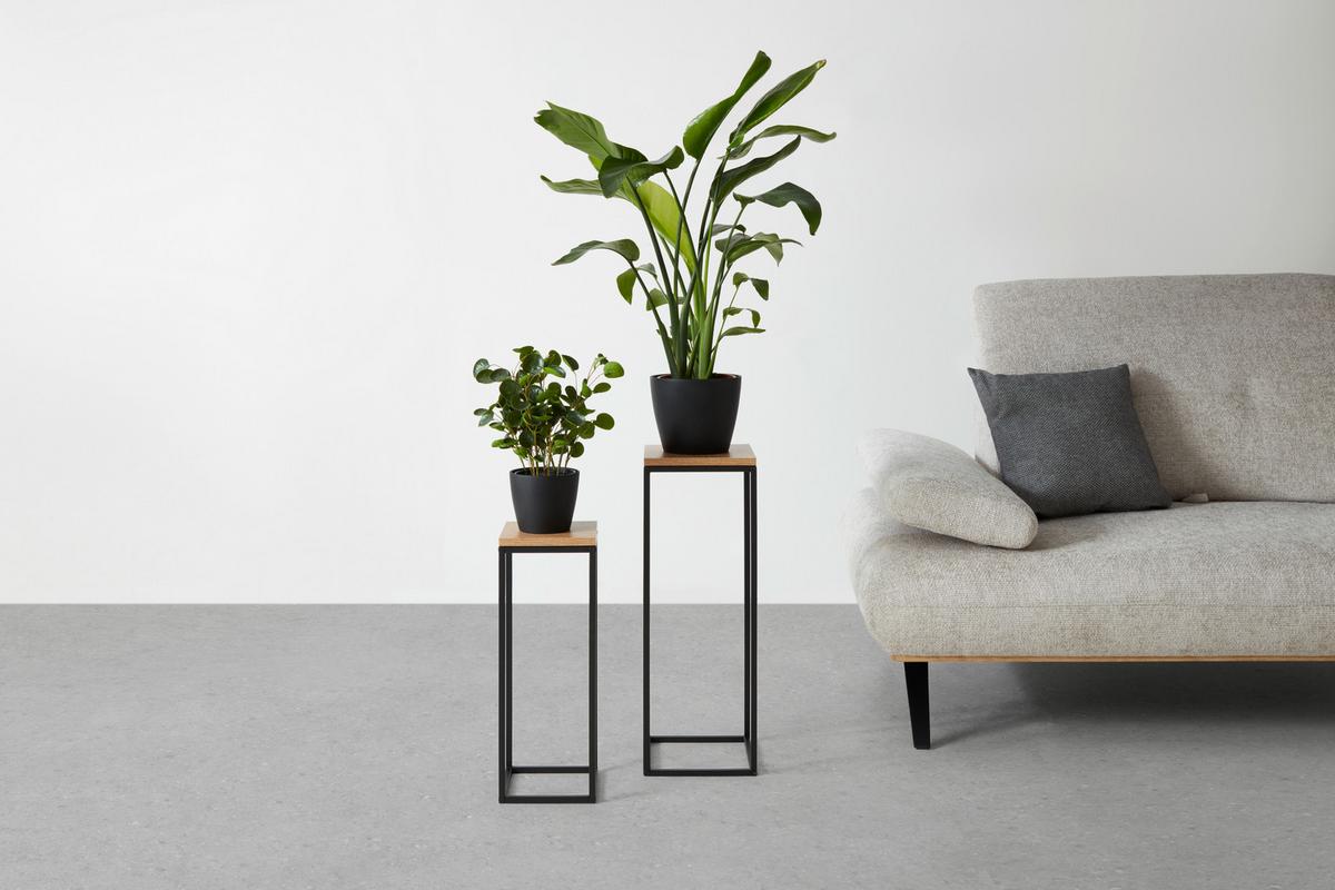 Blumensäulen-Set Watford in Schwarz/Eichefarben - Eichefarben/Schwarz, Modern, Holzwerkstoff/Metall (19-23/54-67/19-23cm) - Mömax