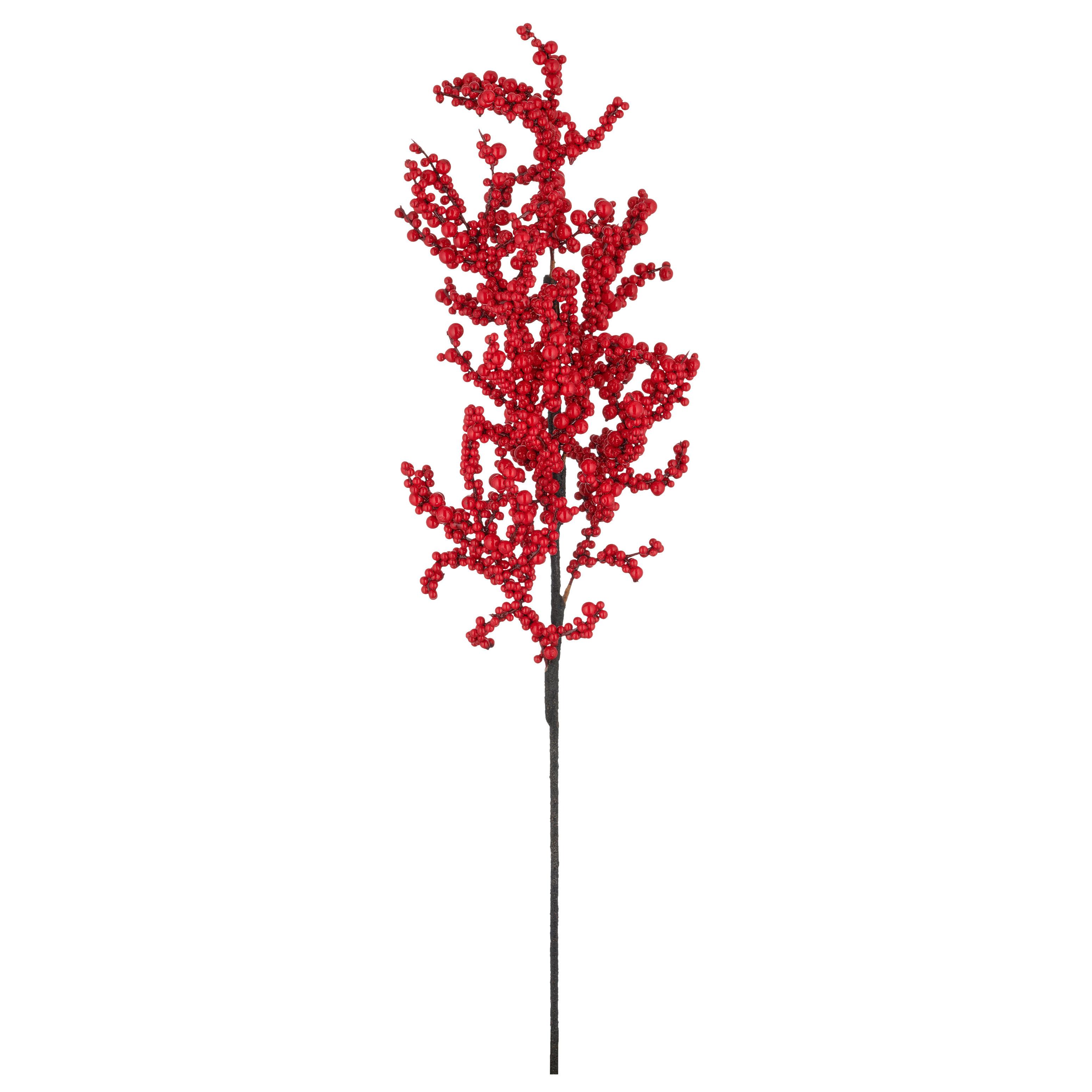 Umetna Rastlina Beerenzweig I - rdeča/rjava, Basics, umetna masa (73cm) - Mömax
