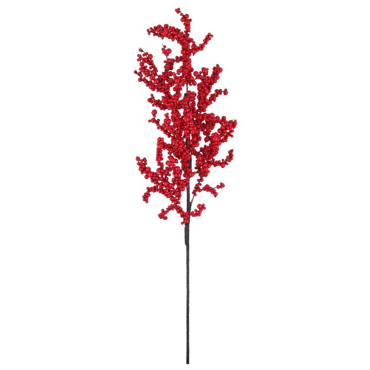 Umetna Rastlina Beerenzweig I - rdeča/rjava, Basics, umetna masa (73cm) - Mömax