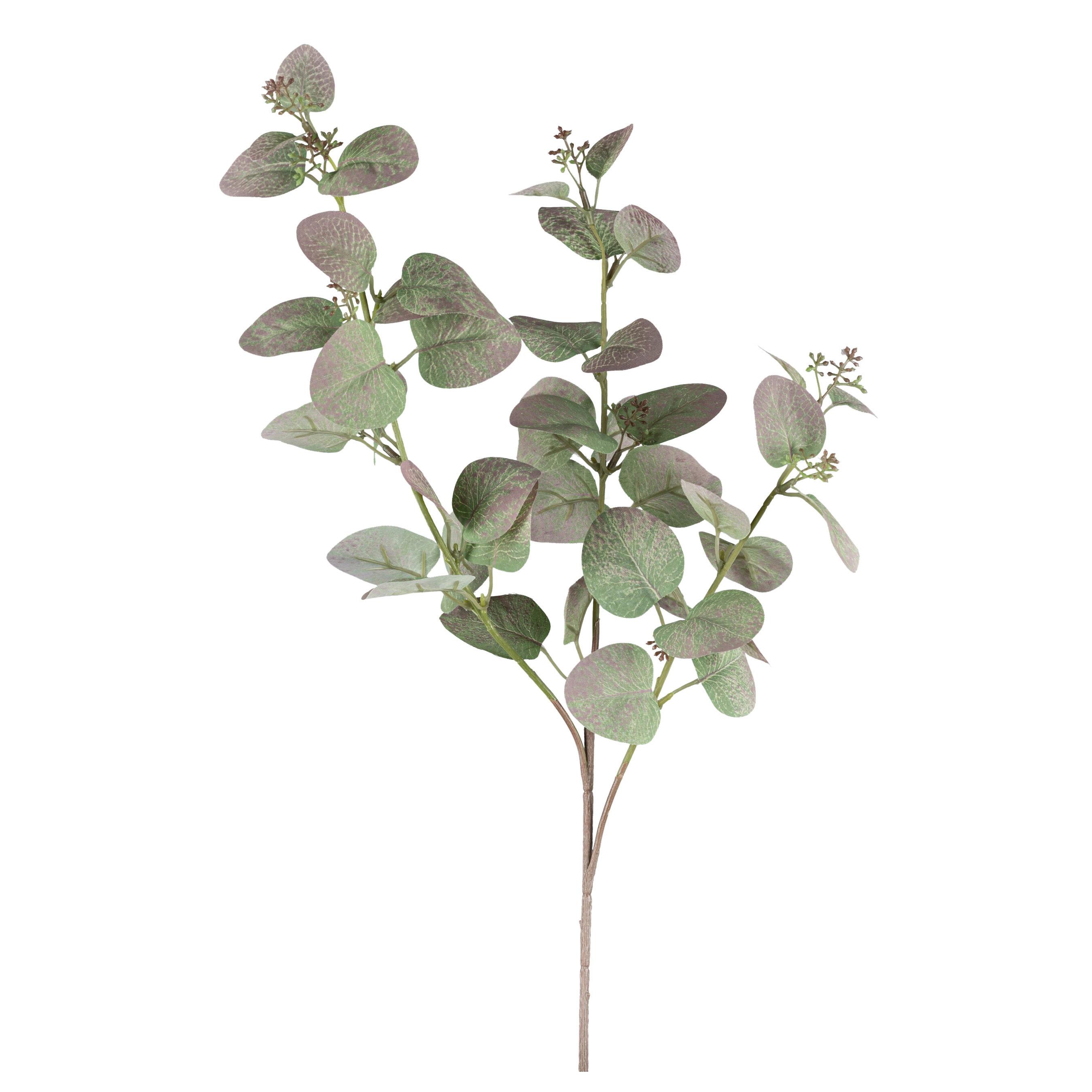 Umetna Rastlina Eukalyptuszweig Ii -Paz- - zelena/rjava, Basics, umetna masa (72cm)