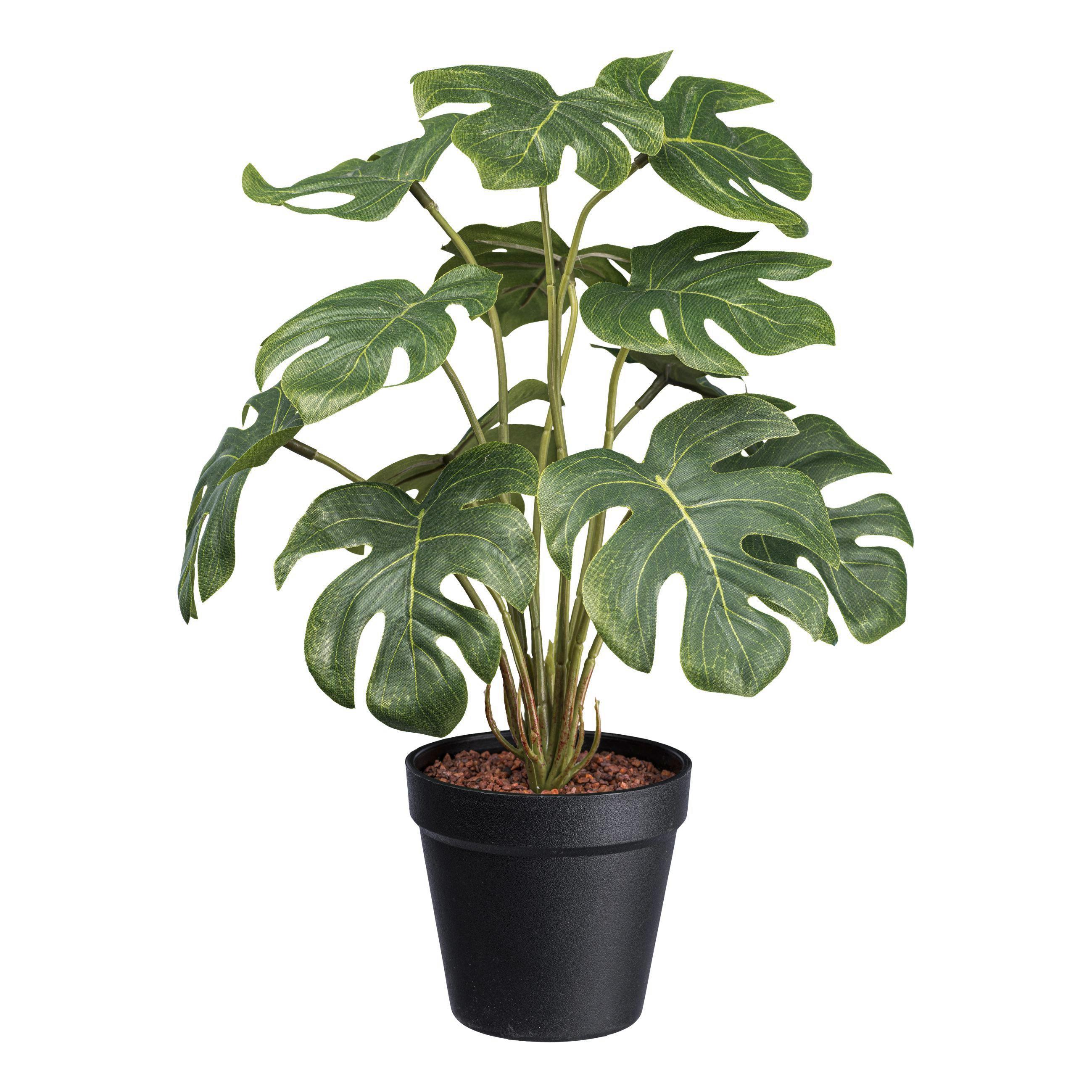 Műnövény Spliphilodendron Ii - Zöld/Fekete, Basics, Műanyag (38cm) - Modern Living