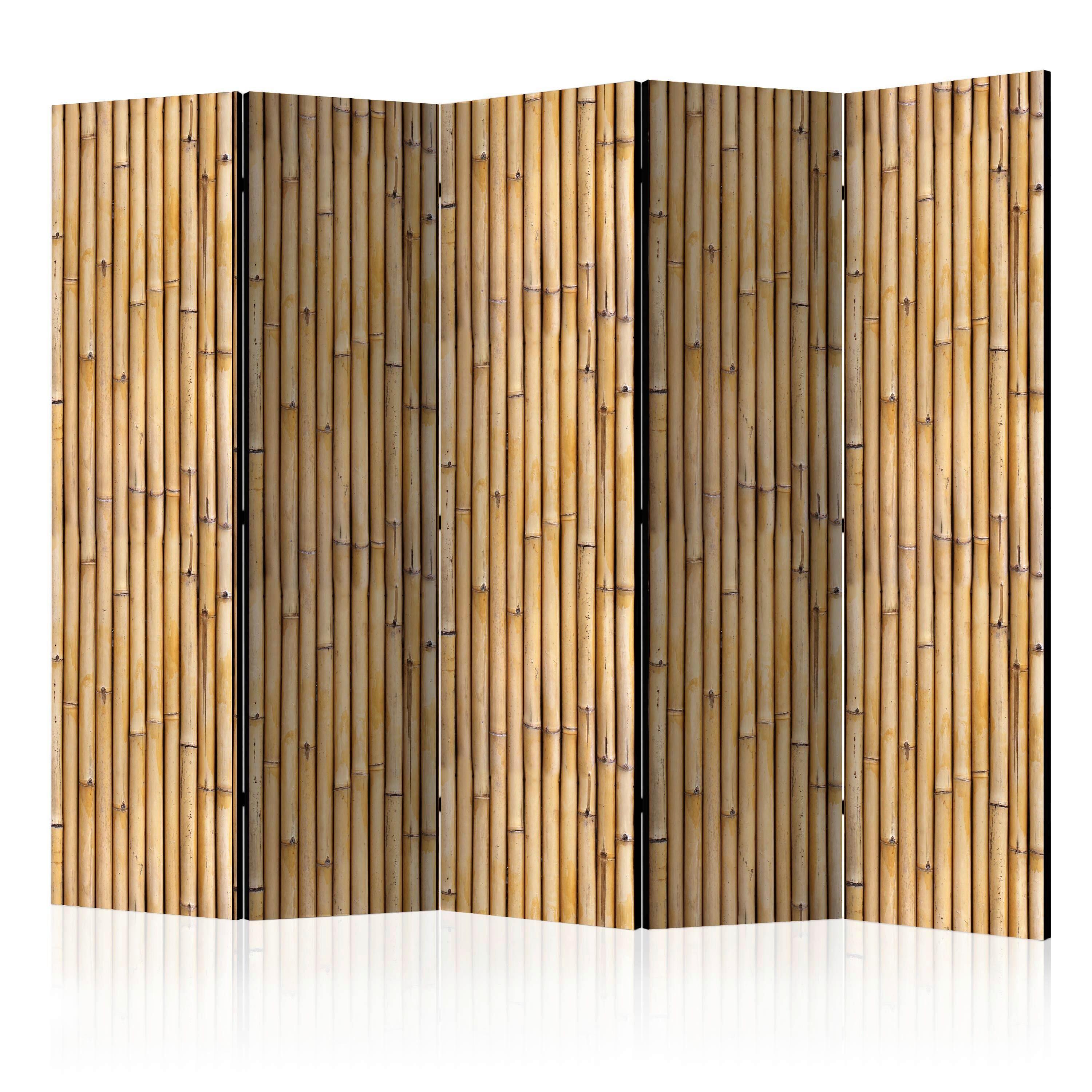 Paravan Amazonian Wall I, 5-Delni, Dvostranski - bež/rjava, Basics, tekstil/les (225/172/3cm) - artgeist