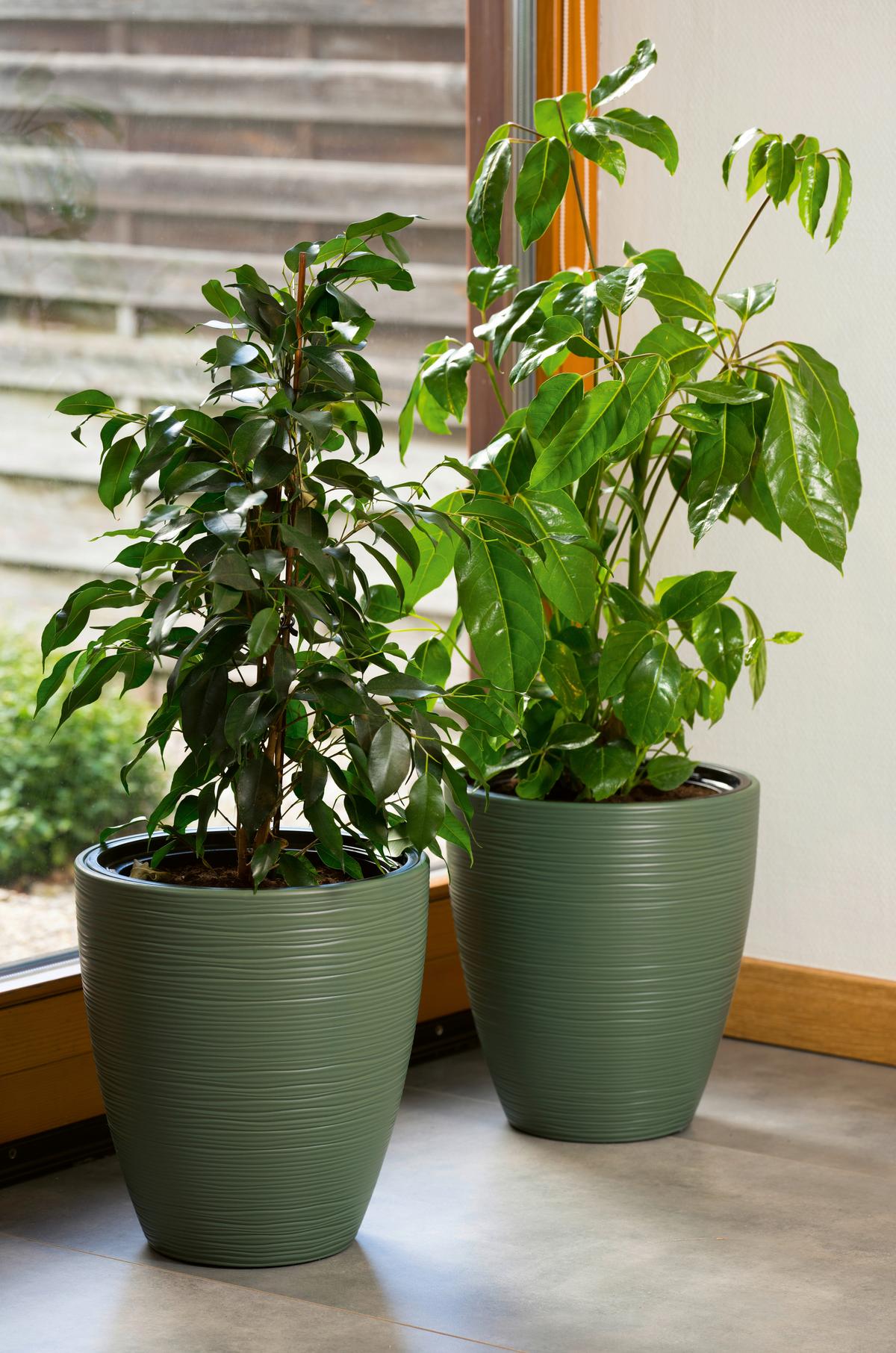 Pflanztopf Gubo in Grün Ø ca. 27cm - Grün, Konventionell, Kunststoff (29/32cm)