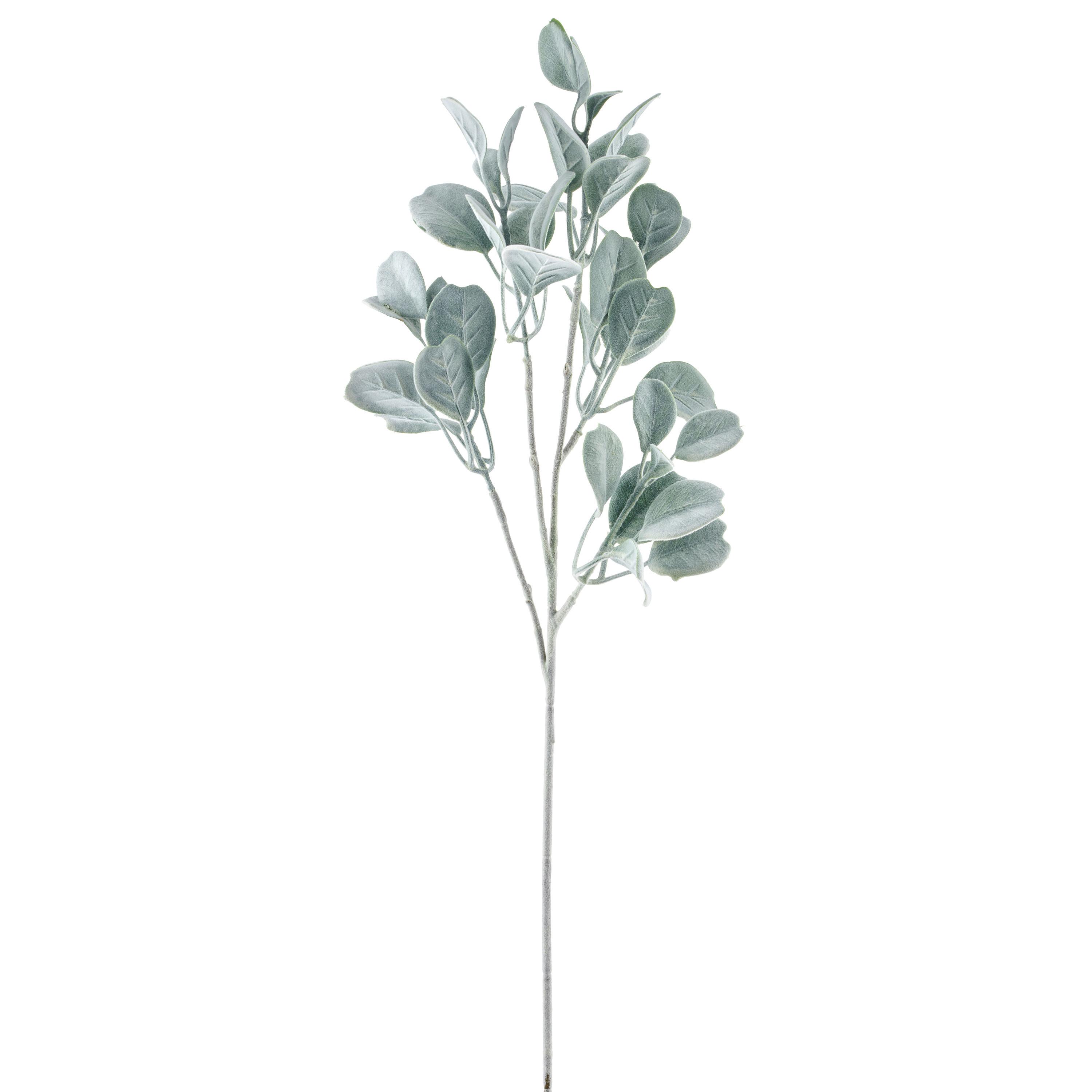 Umetna Rastlina Salvienzweig I - siva, Basics, umetna masa (71cm) - Mömax