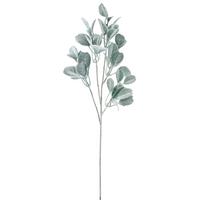Umetna Rastlina Salvienzweig I - siva, Basics, umetna masa (71cm) - Mömax