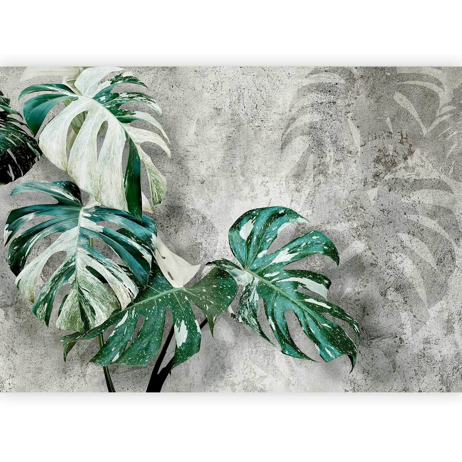 Fototapeta Variegata, 250x175cm - siva/zelena, Trendi, tekstil (250/175cm) - artgeist