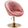 Stol Wl6.300 - zlate barve/roza, Konvencionalno (67/100/62cm) - MID.YOU