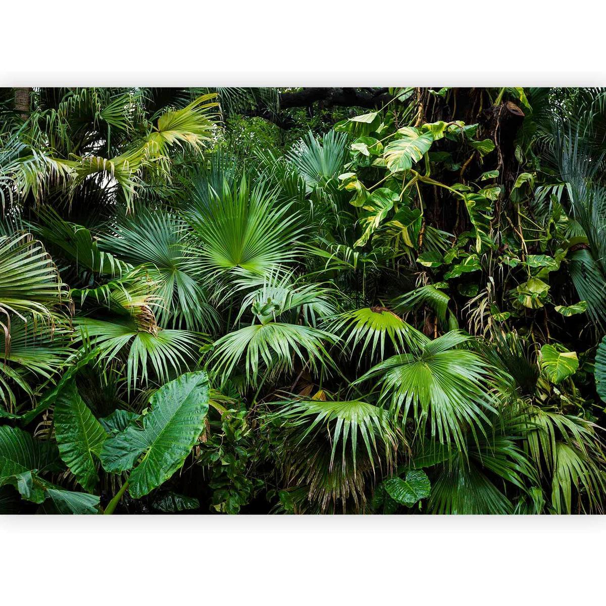 Fototapeta Sunny Jungle, 400x280cm - zelena/rjava, Trendi, tekstil (400/280cm) - artgeist