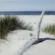 Glasbild Lonely Bay, ca. 30x30x2cm - Multicolor, MODERN, Glas (30/30/2cm) - Mömax modern living