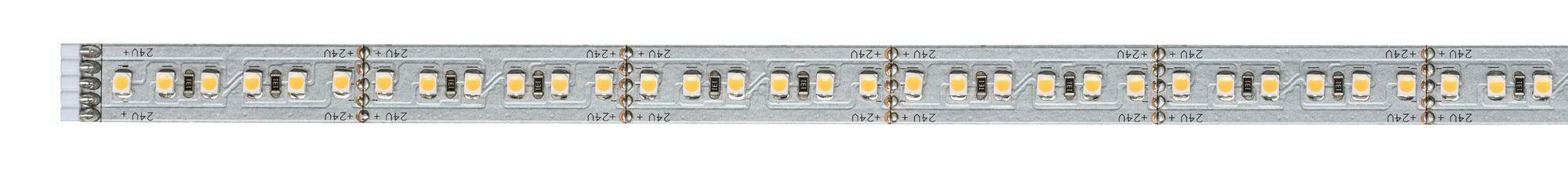 LED-Strip MaxLED 1000 Silberfarben max. 12 Watt - Silberfarben, Basics, Metall (100cm) - Paulmann