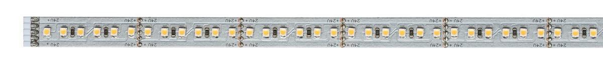 LED-Strip MaxLED 1000 Silberfarben max. 12 Watt - Silberfarben, Basics, Metall (100cm) - Paulmann