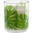 Sveča V Kozarcu Conny - večbarvno/prozorna, Romantika, steklo (9,6/11cm) - Mömax modern living