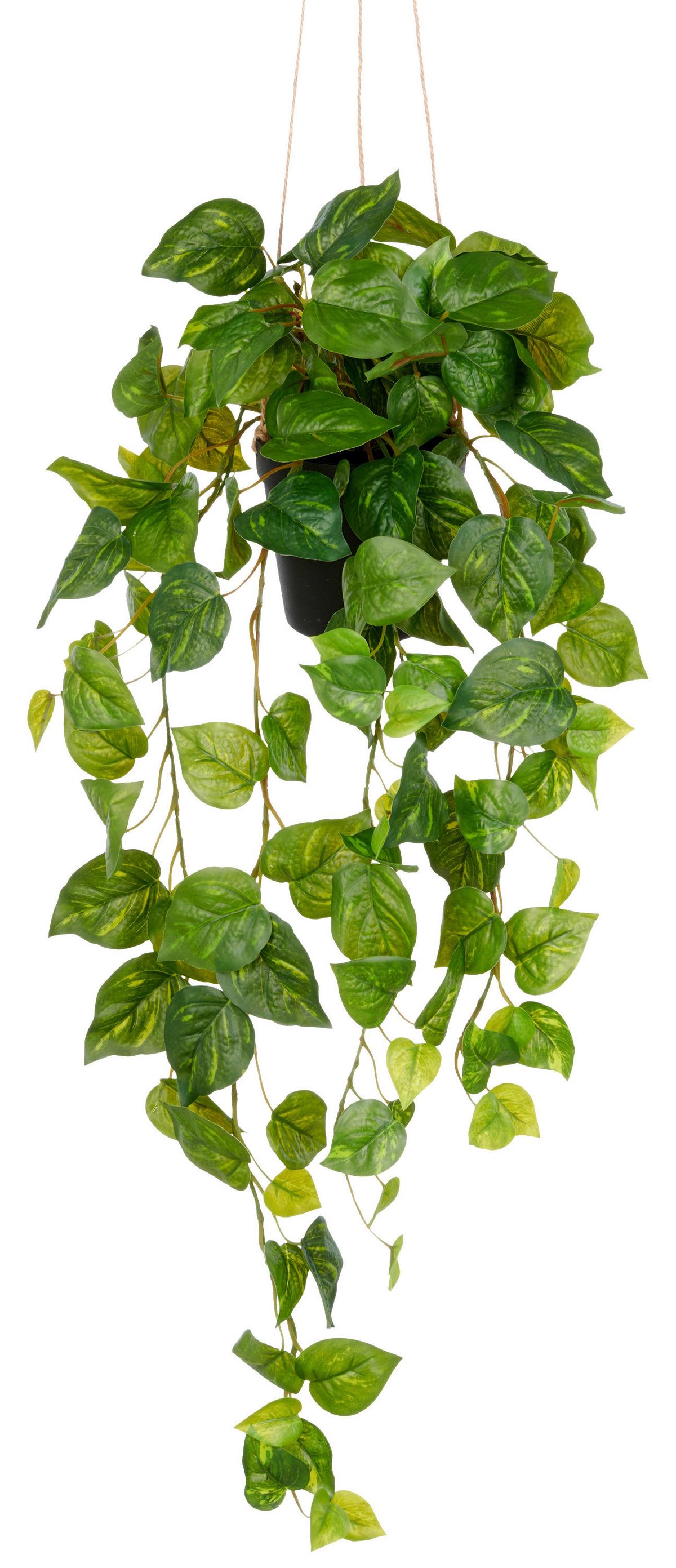 Kunstpflanze Philodendronhänger II Grün - Schwarz/Grün, LIFESTYLE, Kunststoff (75cm) - Mömax