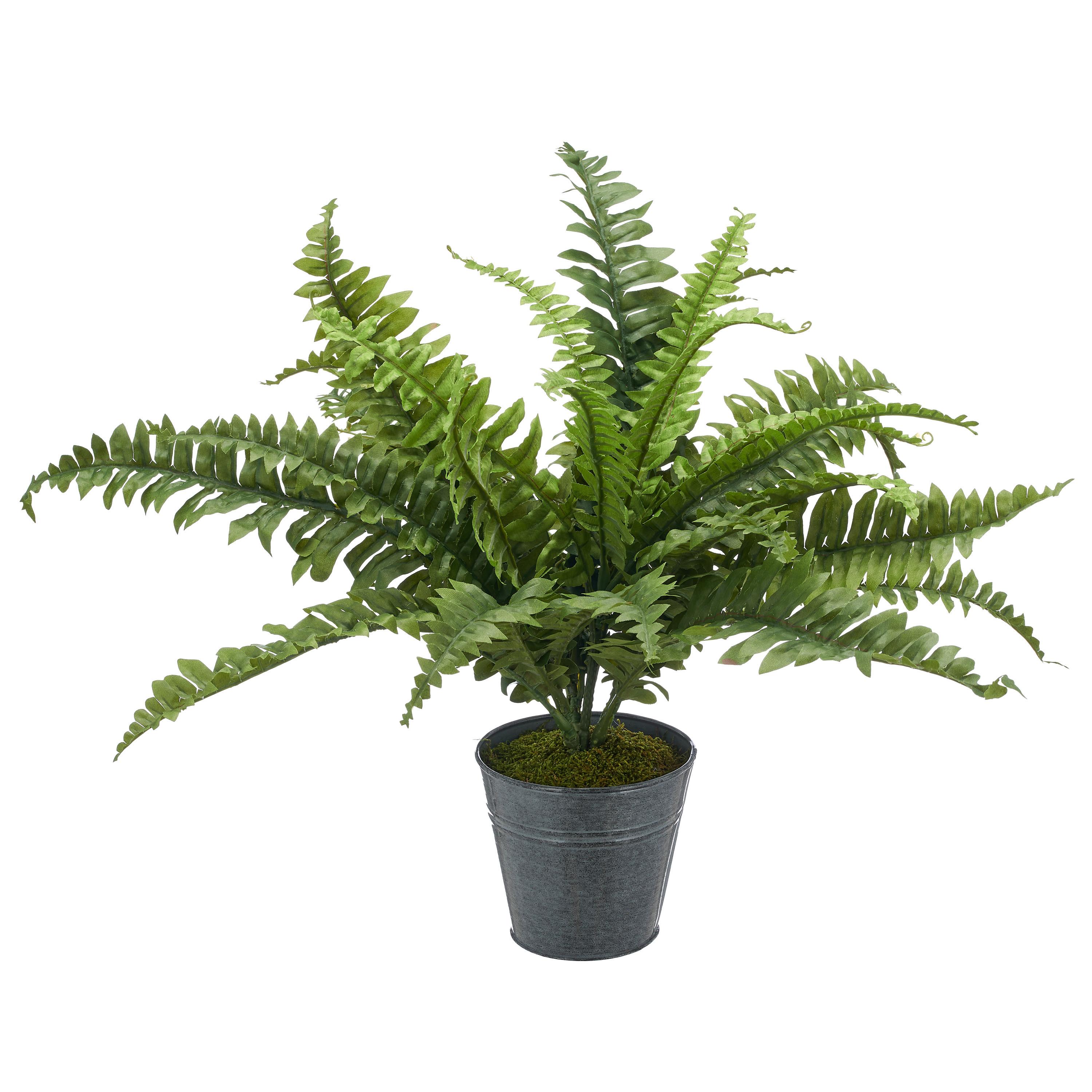 Kunstpflanze Bostonfarn Grün Ø ca. 60cm - Zinkfarben/Grün, Basics, Kunststoff/Metall (60cm) - P & B