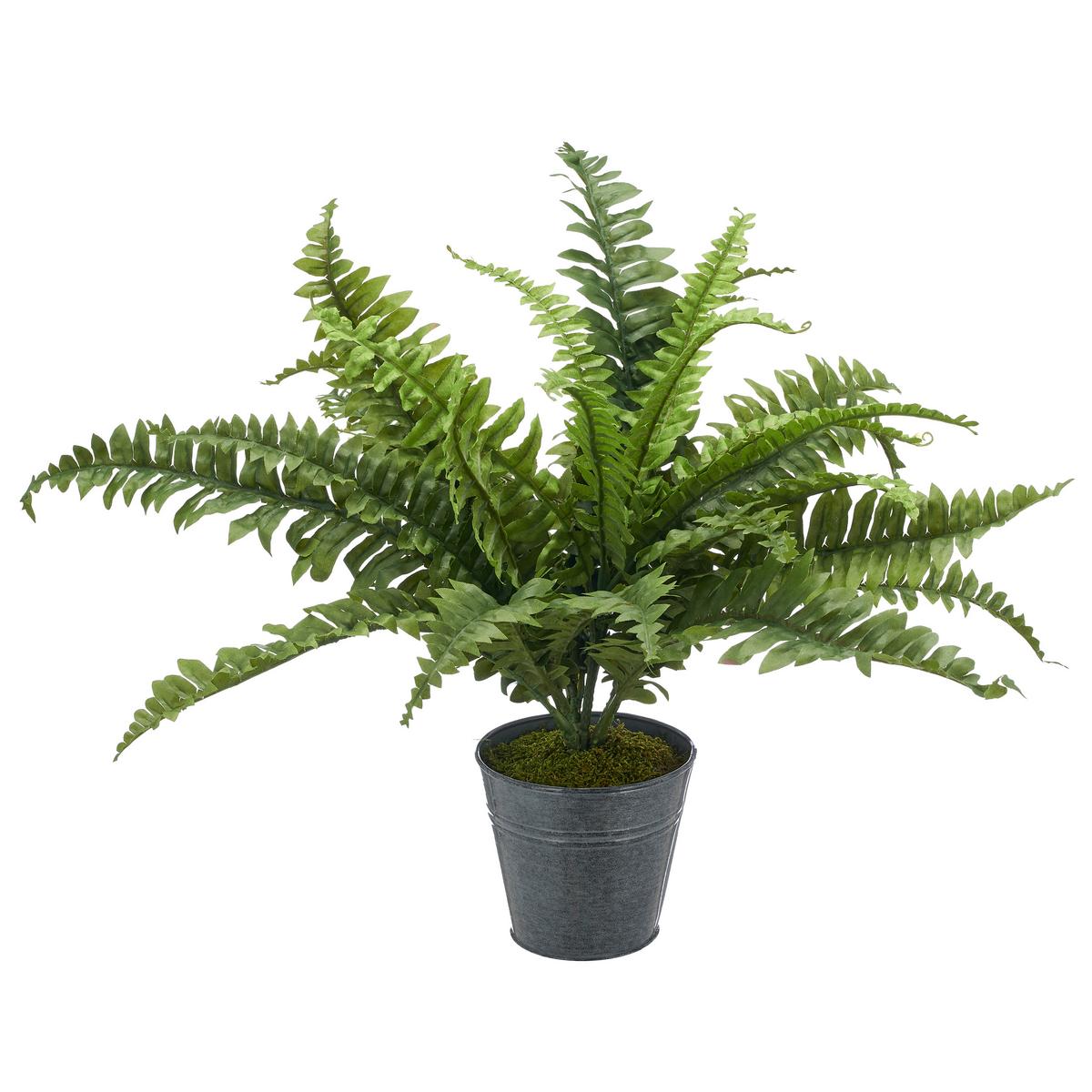 Kunstpflanze Bostonfarn Grün Ø ca. 60cm - Zinkfarben/Grün, Basics, Kunststoff/Metall (60cm) - P & B