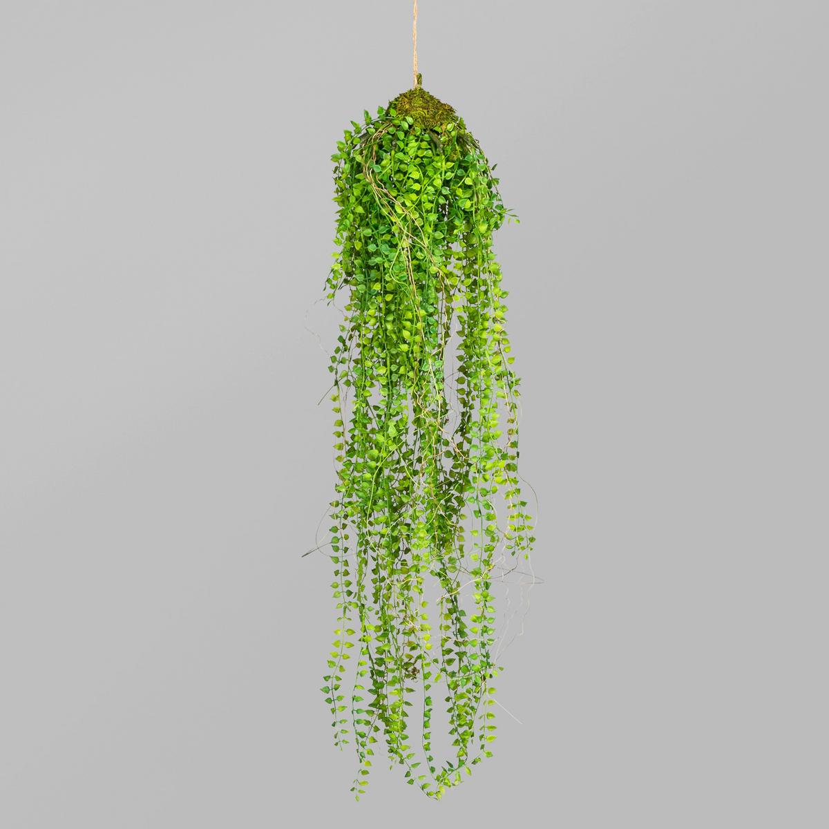 Kunstpflanze in Grün ca. 70cm - Grün, Basics, Kunststoff (70cm) - P & B