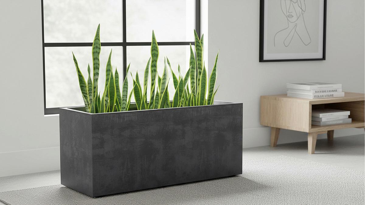 Virágláda Casetta - Basics (79/39/39cm)