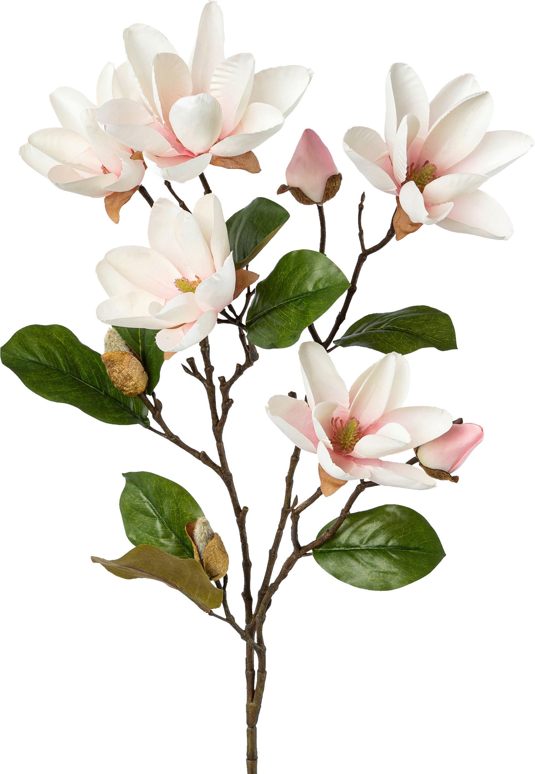 Műnövény Magnolie - Natúr/Halvány rózsaszín, Basics, Műanyag (90cm) - Modern Living