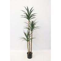 Plantă artificială Yucca cca. 180 cm - Modern, plastic (60/180cm)