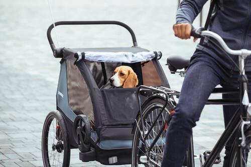 PRZYCZEPA ROWEROWA COURIER - Basics (70/8/53cm) - Thule