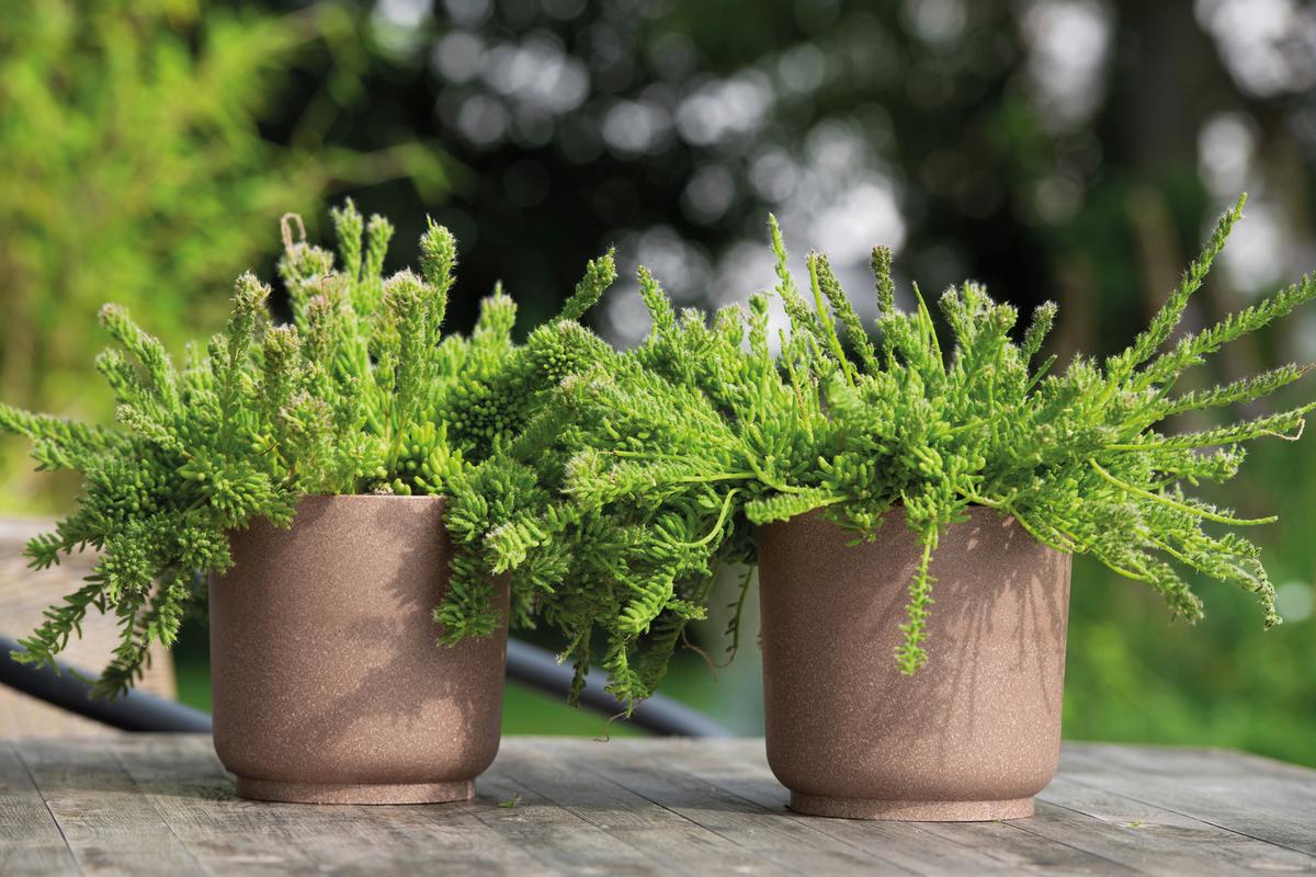 Kaspó Átm./ma.: Kb. 15/14,9cm Ecocare - barna, Lifestyle, műanyag/fa (15/14,9cm) - ecoTree