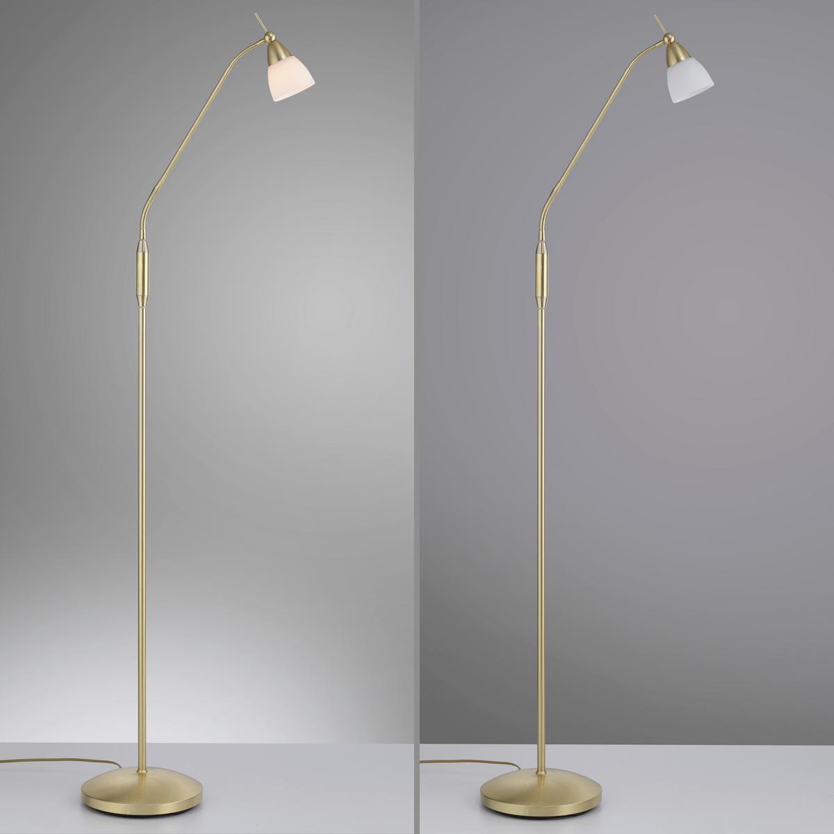 LED-Stehleuchte Pino Dimmbar max. 2,6 Watt - Basics (74/74/163cm) - Paul Neuhaus