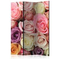 Paravan Pastel Roses, 3-Delni, Dvostranski - vijolična/svetlo roza, Basics, tekstil/les (135/172/3cm) - artgeist