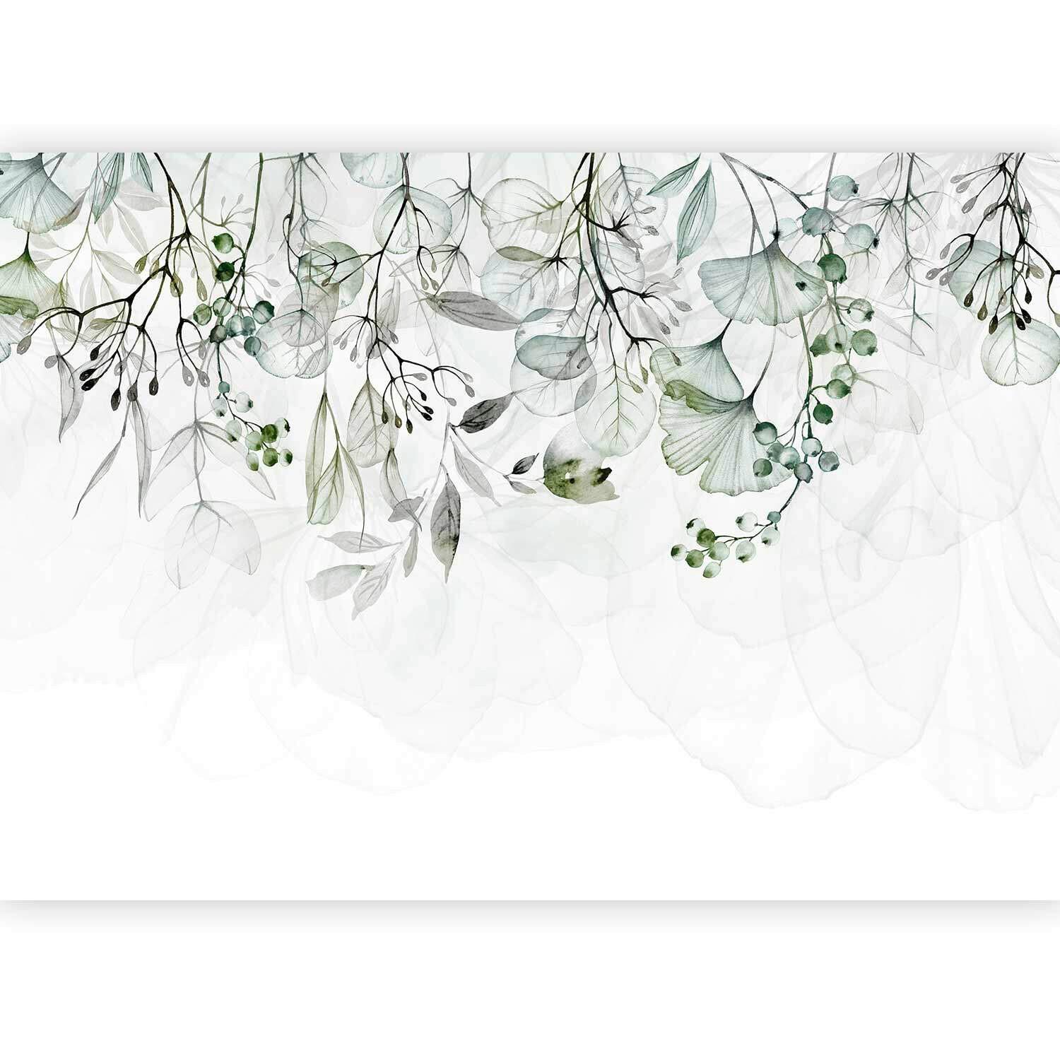 Fotótapéta Foggy Nature - Green - fehér/zöld, Lifestyle, textil (450/315cm) - artgeist