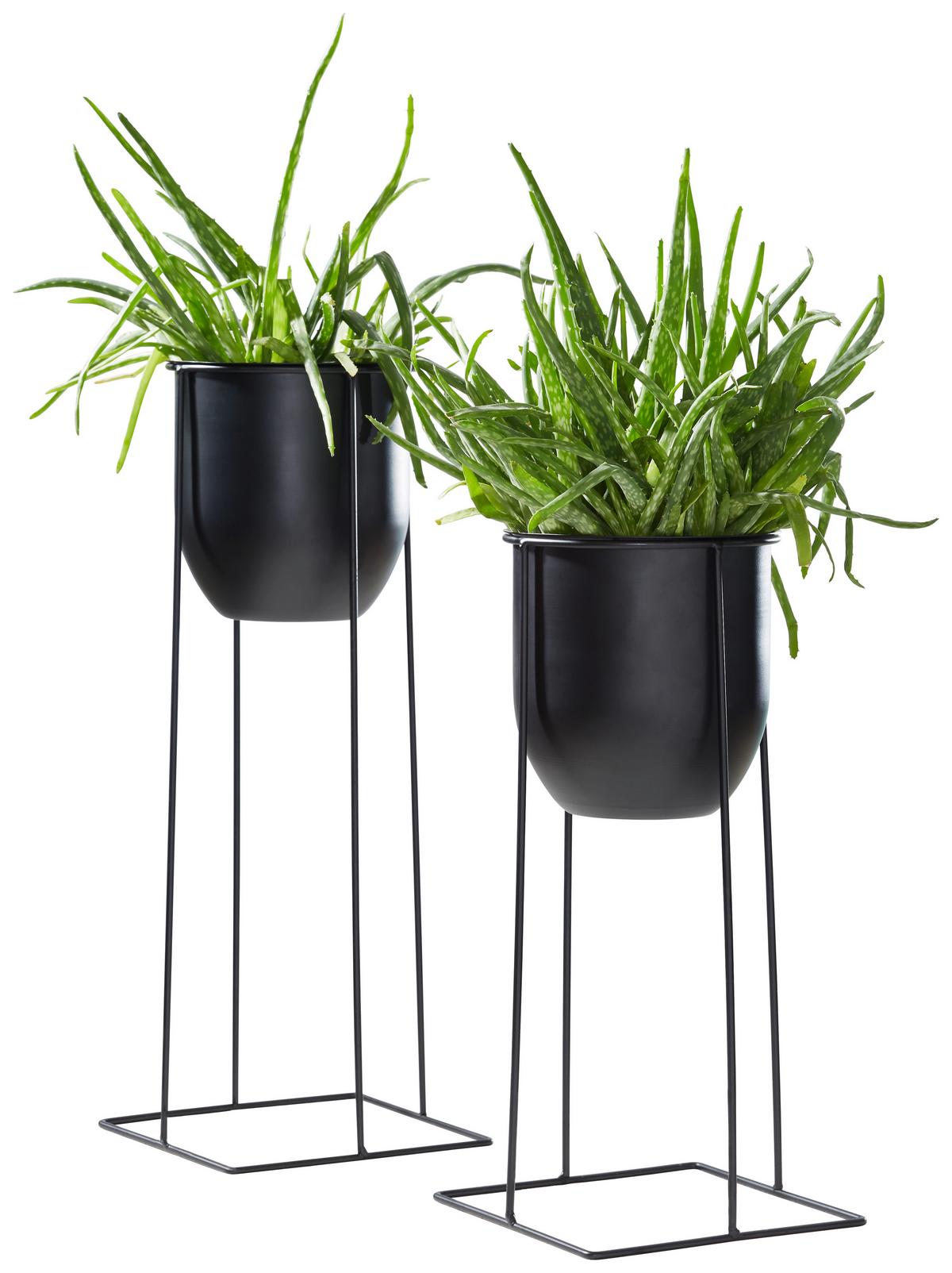 DONICZKA NA KWIATY GM21-170402 - czarny, Basics, metal (19/40cm) - Ambia Home