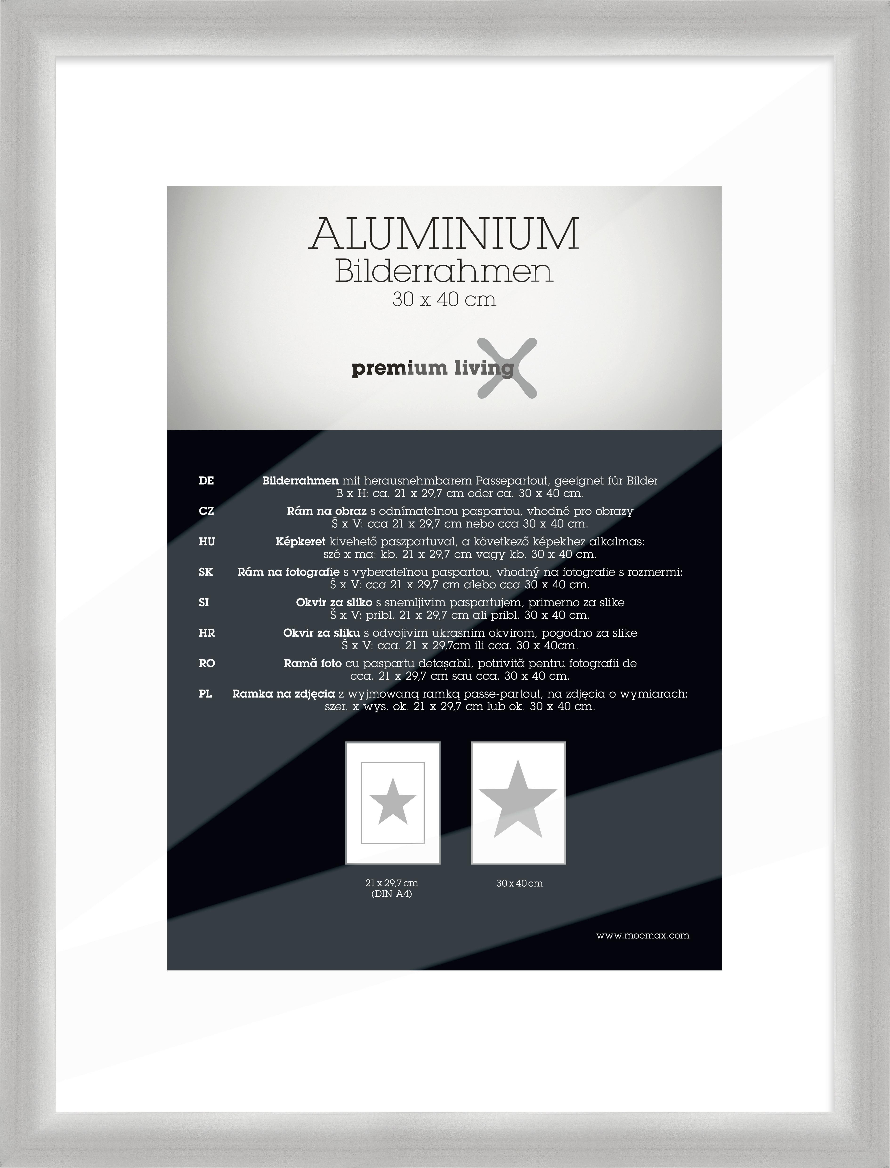 Képkeret Kb. 30x40cm Platinum - ezüstszínű, Basics, fém (33,1/43,1/2.2cm) - Premium Living