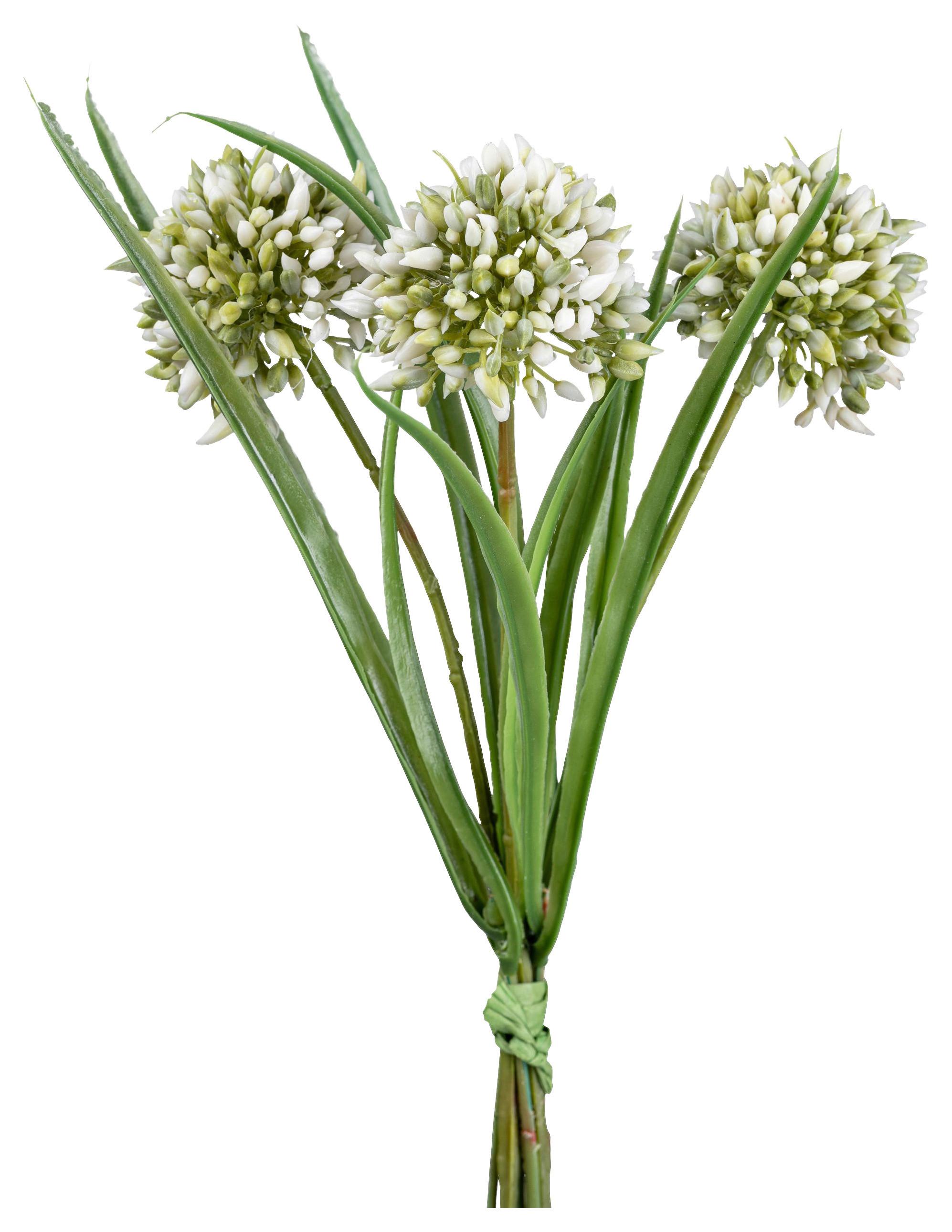 KUNSTPFLANZE ALLIUM I - Weiss/Grün, Konventionell, Kunststoff (28cm) - Modern Living