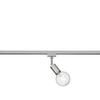 Schienensystem-Strahler Spot Duoline Nickelfarben max. 40 - Nickelfarben, Basics, Metall (4/13cm) - Trio Leuchten