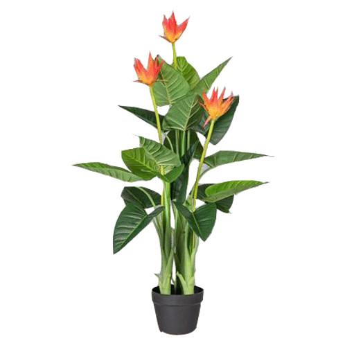 Kunstpflanze Guzmania ca. 40cm - Schwarz/Orange, Trend, Kunststoff (40cm) - P & B
