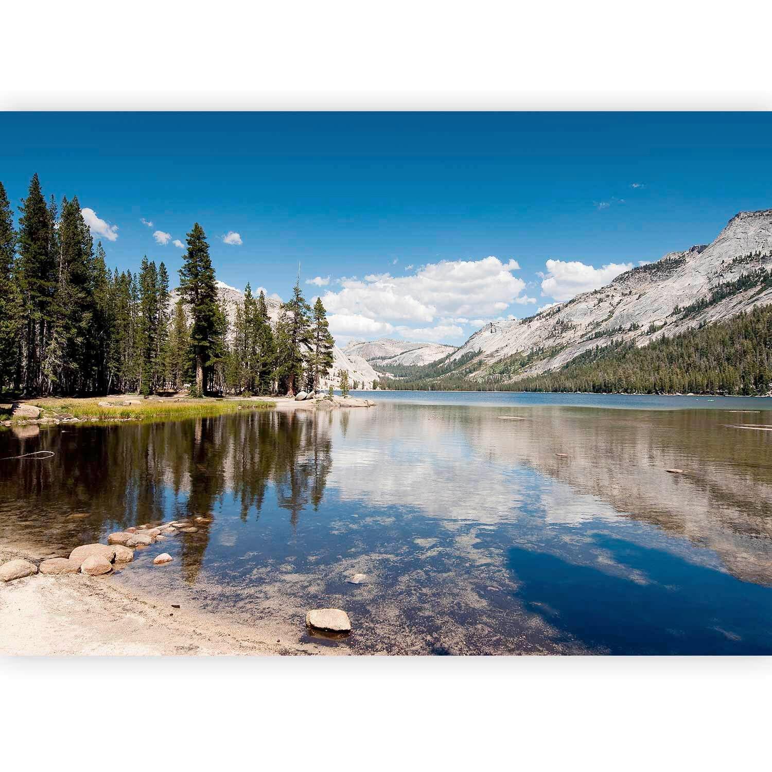 Fototapeta Tenaya Lake, 450x315cm - bela/večbarvno, Trendi, tekstil (450/315cm) - artgeist