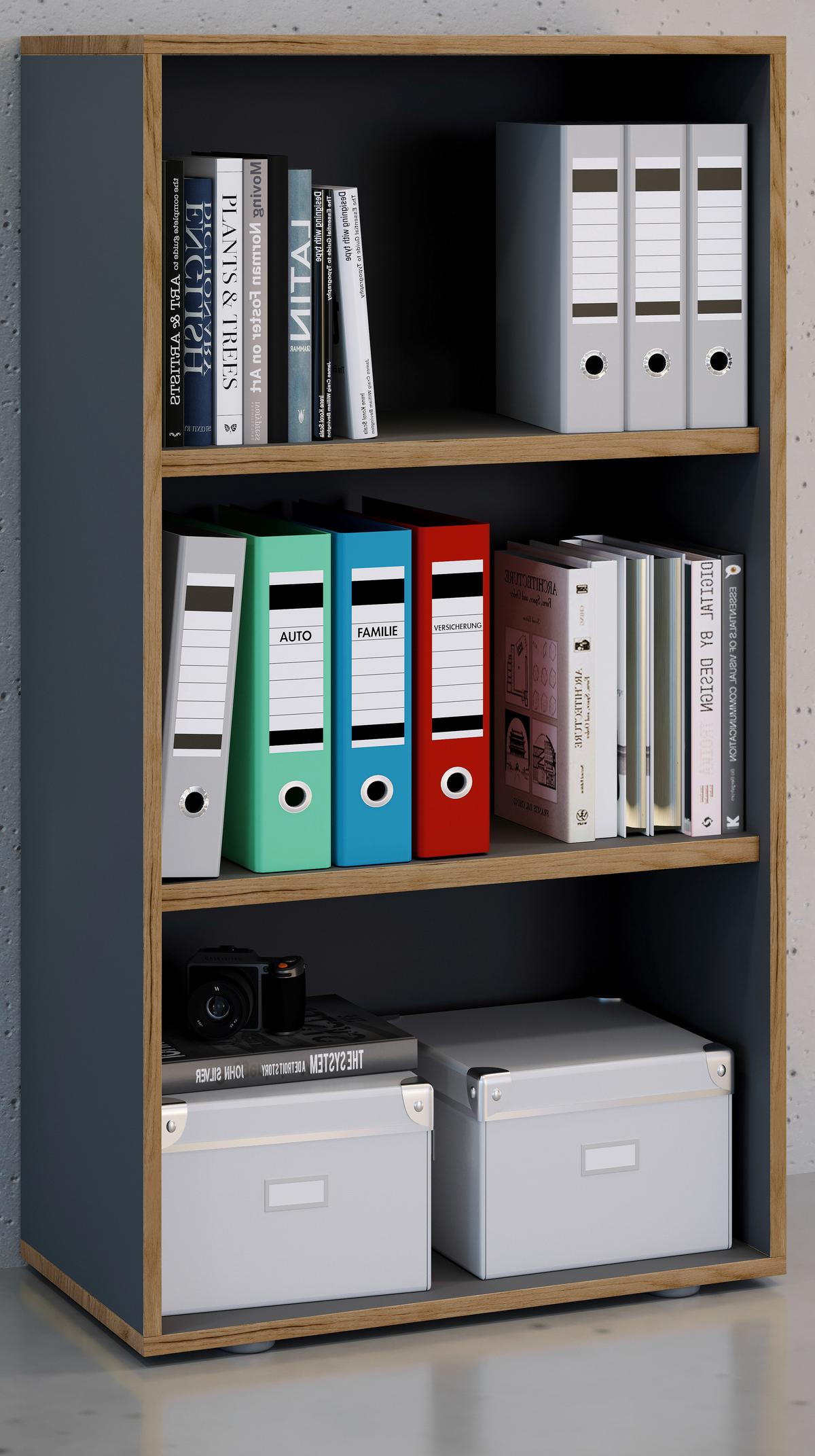 Aktenregal Salia B60 Anthrazit/Honigeiche - Honigeiche/Anthrazit, Design, Holzwerkstoff/Kunststoff (60/110/33cm) - P & B