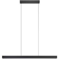 Hängeleuchte 103382220 Schwarz max. 10 Watt - Schwarz, MODERN, Metall (110-180/150/6,5cm)