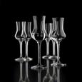 Schnapsglas Treviso ca. 80ml - Klar, Glas (0,08l) Schnapsglas Treviso ca. 80ml - Klar, Glas (0,08l)