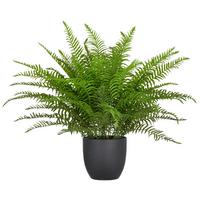 Kunstpflanze Schwertfarn Grün/Schwarz ca. 60cm - Schwarz/Grün, Basics, Kunststoff (60cm) - P & B