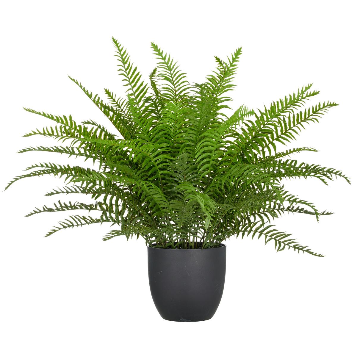 Kunstpflanze Schwertfarn Grün/Schwarz ca. 60cm - Schwarz/Grün, Basics, Kunststoff (60cm) - P & B