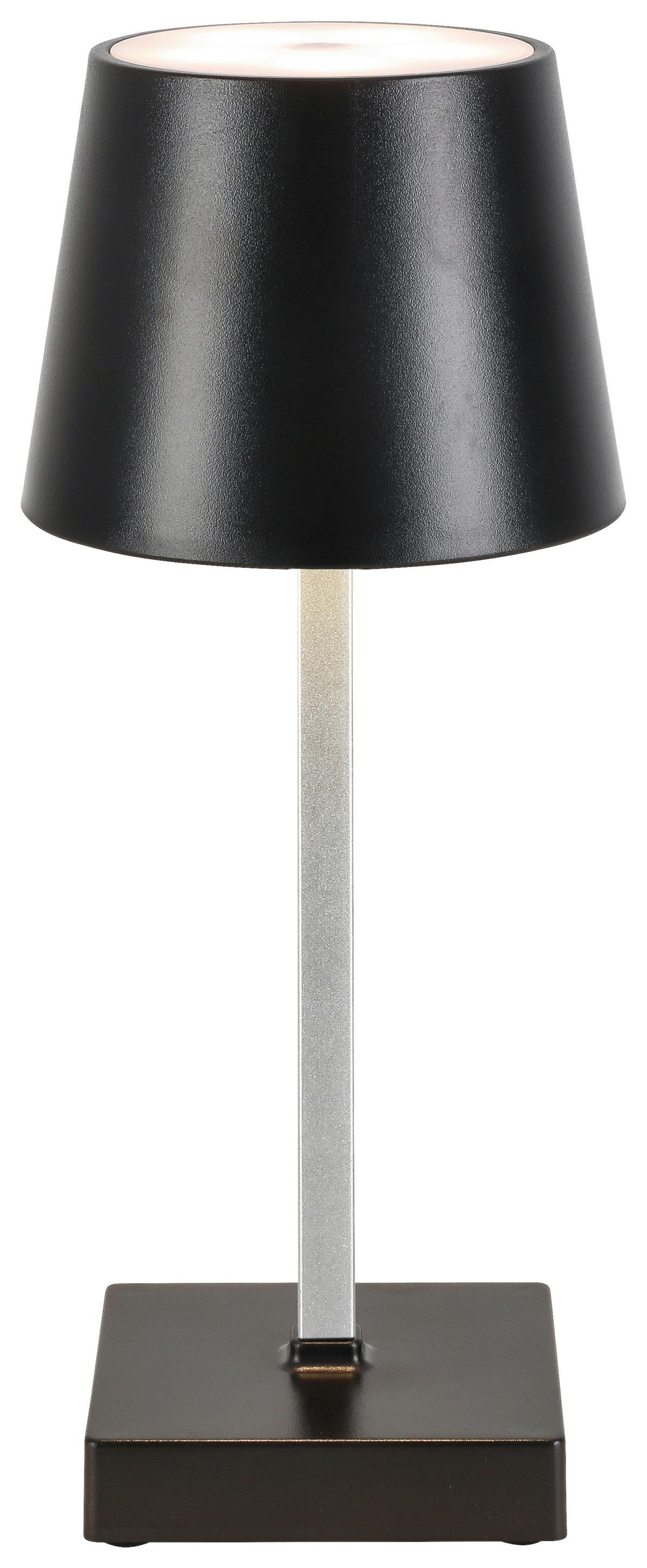 LED-Dekoleuchte Gopi Schwarz max. 1,5 Watt - Silberfarben/Schwarz, Romantik / Landhaus, Kunststoff/Metall (10,5/26cm) - Modern Living