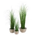 Übertopf Luis in Braun/Weiß - Braun/Weiß, Kunststoff/Weitere Naturmaterialien (36/21cm) - Mömax modern living
