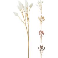 Kunstpflanze Pampasgras diverse Farben - Weiss/Dunkelbraun, Lifestyle, Kunststoff/Metall (25/20/70cm) - Mömax