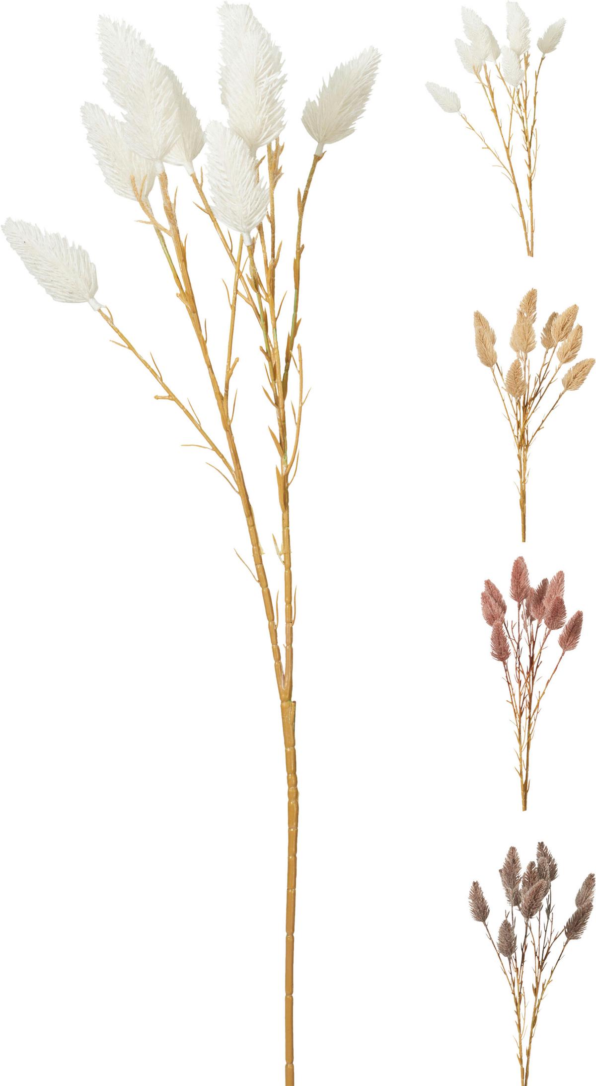 Kunstpflanze Pampasgras diverse Farben - Weiss/Dunkelbraun, Lifestyle, Kunststoff/Metall (25/20/70cm) - Mömax