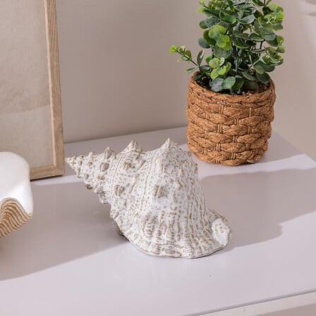 Scoică decorativă Oceane - Basics (20/12/10,5cm)