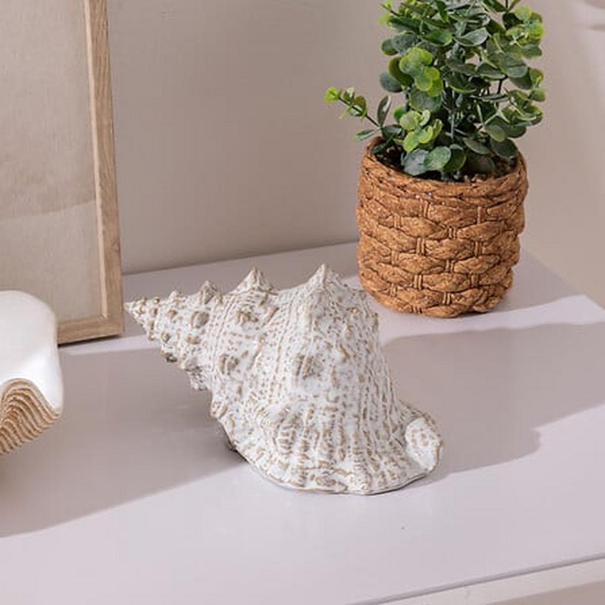 Scoică decorativă Oceane - Basics (20/12/10,5cm)