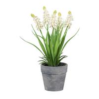 Umetna Rastlina Muscari I - siva/zelena, Basics, umetna masa (25cm) - Modern Living