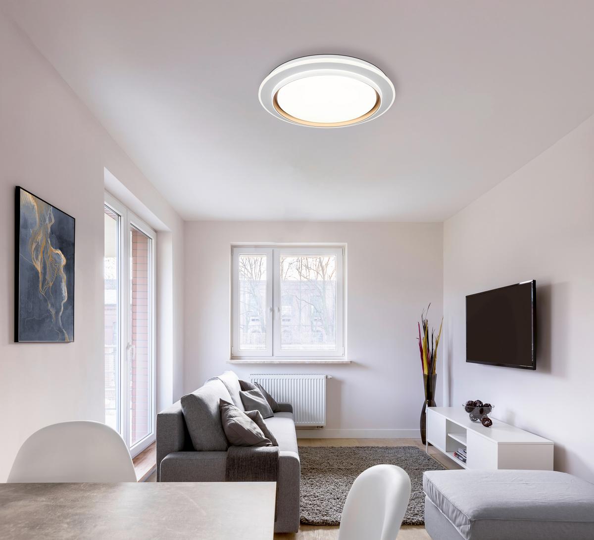 Led Stropna Svjetiljka Janice - bijela/opalna, Design, metal/plastika (49/7cm) - Globo