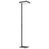 Led Podna Svjetiljka Barker - srebrne boje/prozirno, Design, metal/plastika (40/28/184,8cm) - Globo