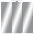 Spiegelschrank Dunkelgrau - Dunkelgrau, MODERN, Glas/Holzwerkstoff (80/79/20cm) Spiegelschrank Dunkelgrau - Dunkelgrau, MODERN, Glas/Holzwerkstoff (80/79/20cm)