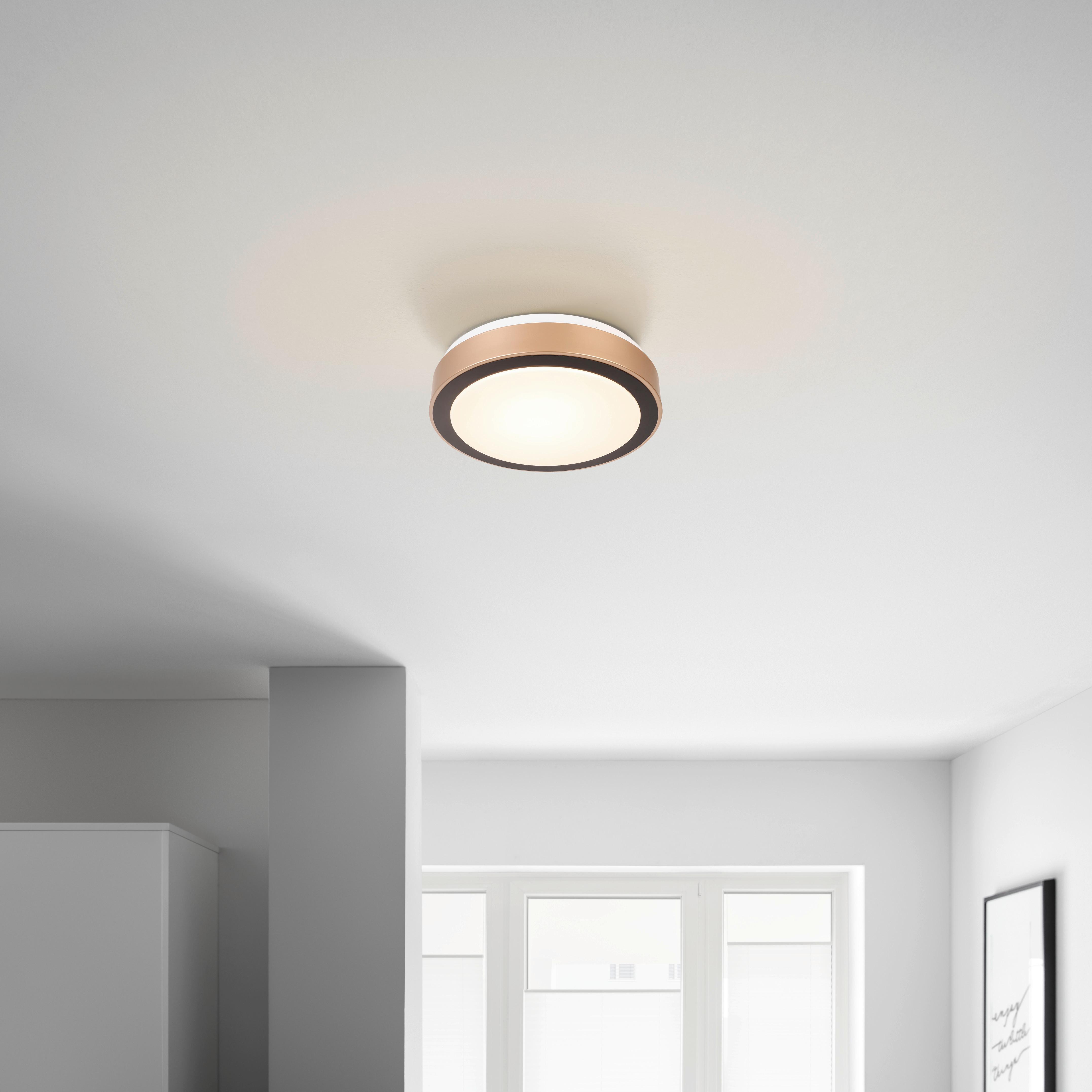 Stropna Led-svetilka Rondo - črna/bela, Romantika, kovina/umetna masa (30/8cm) - Mömax
